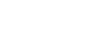 Dark Forge Studio Logo